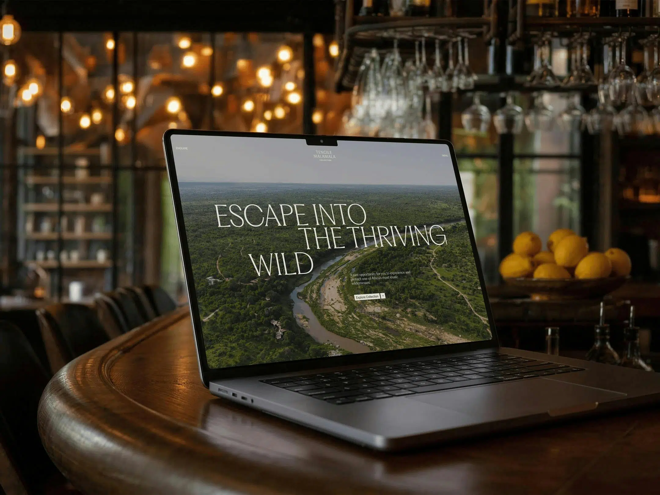 Laptop showing a lodge website on a wooden bar counter
